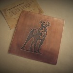 Boxer Coaster